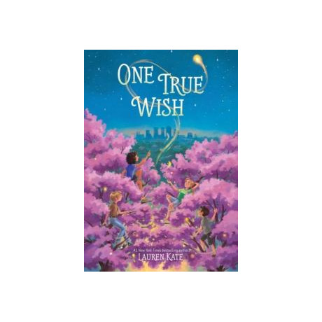 One True Wish