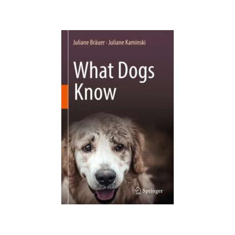 What Dogs Know