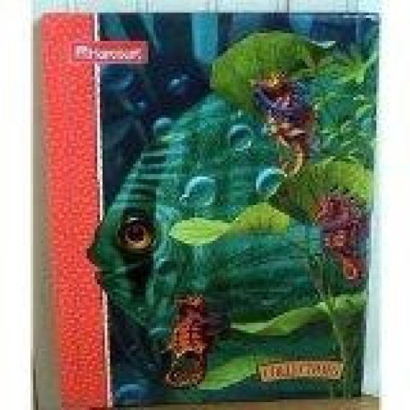 Hidden Surprises 3.1