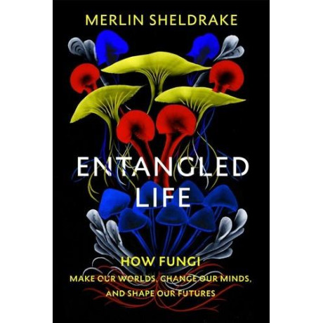 Entangled Life : how Fungi Make our Worlds, Change our Minds and Shape our Futures
