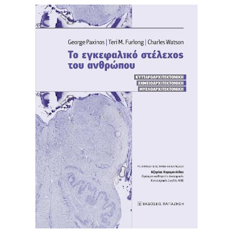 Το Εγκεφαλικό Στέλεχος του Ανθρώπου