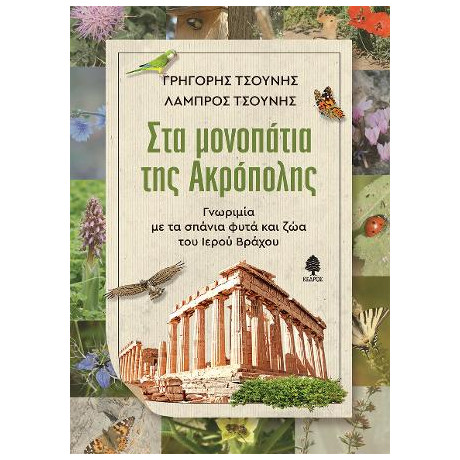 Στα Μονοπάτια της Ακρόπολης