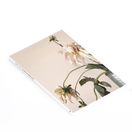 Το Γελιο τησ Μεδουσας