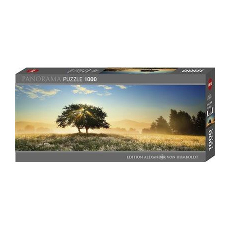 Puzzle Play of Light 2d 1000 Κομματια