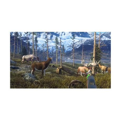 Nsw big Buck Hunter Arcade (Code in a Box)