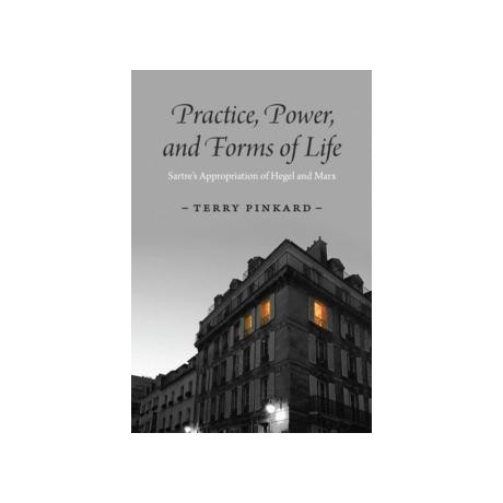 Practice, Power, and Forms of Life