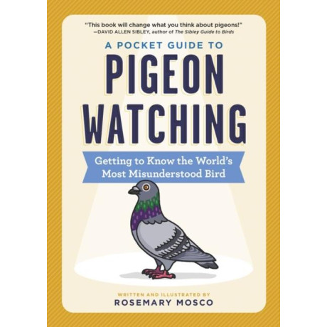 Pocket Guide to Pigeon Watching