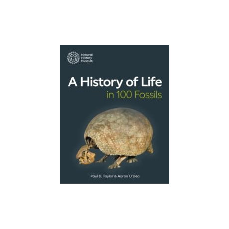 History of Life in 100 Fossils