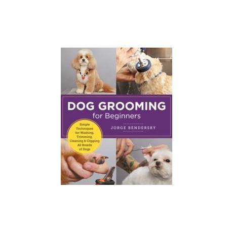Dog Grooming for Beginners