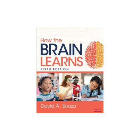 How the Brain Learns