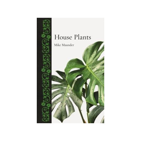 House Plants
