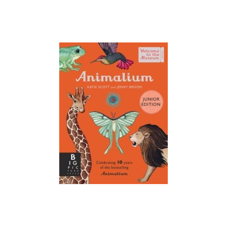 Animalium (Junior Edition)