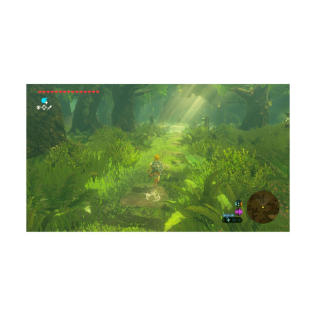 Nsw2 the Legend of Zelda: Breath of the Wild