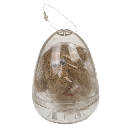 Πρόσωπο Γρασίδας Σε Πλαστικό Αβγό 8cm