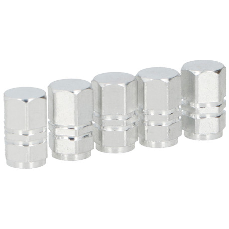 Καπάκια Βαλβίδων Ασημί Αλουμίνιο DUNLOP 5Τμχ