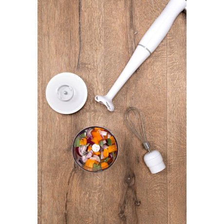 Σετ Χειρός Μπλέντερ 400W ALPINA