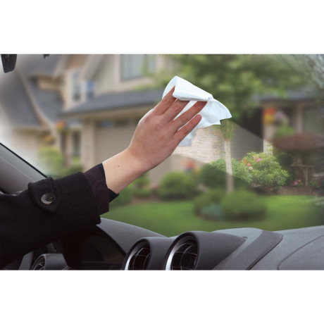 Υγρά Μαντηλάκια Καθαρισμού Τζαμιών Αυτοκινήτου 40Τμχ DUNLOP