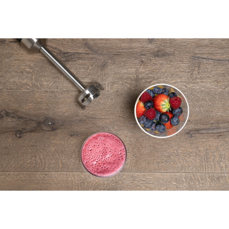 Ραβδομπλέντερ 700ml 1000W Ανοξείδωτο ALPINA