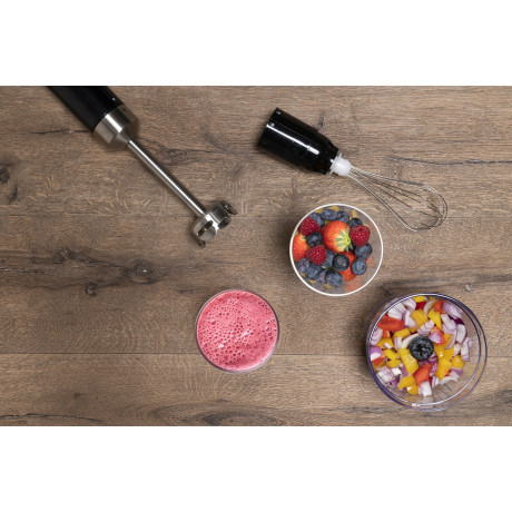 Σετ Ραβδομπλέντερ 230V 1000W Ανοξείδωτο ALPINA