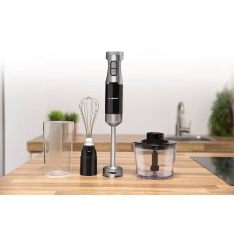 Σετ Ραβδομπλέντερ 230V 1000W Ανοξείδωτο ALPINA