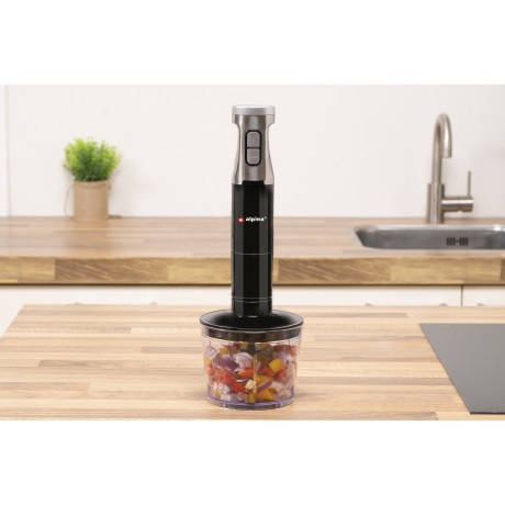 Σετ Ραβδομπλέντερ 230V 1000W Ανοξείδωτο ALPINA