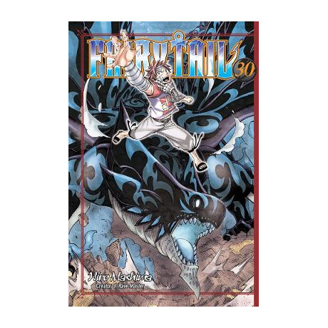 Fairy Tail gn vol 30 (c: 1-1-1)