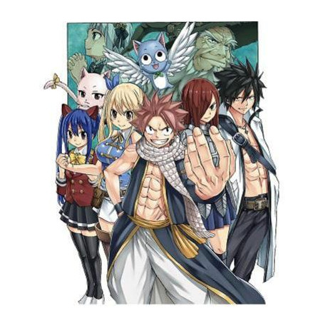 Fairy Tail 100 Years Quest gn vol 08 (c: 0-1-1)