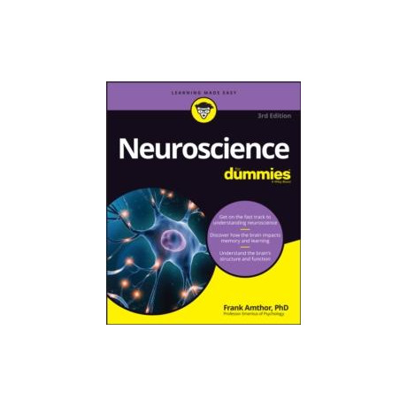 Neuroscience for Dummies