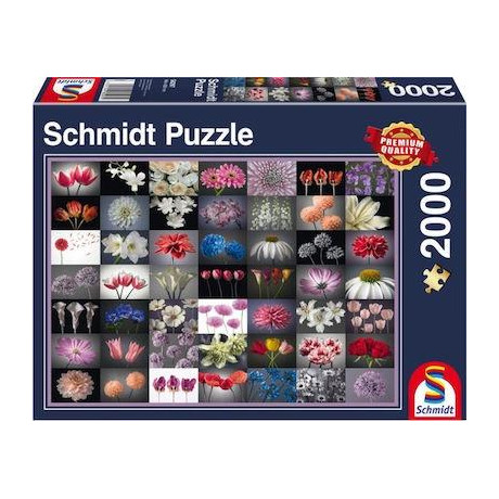 Puzzle Standard: Λουλουδια 2d 2000 Κομματια