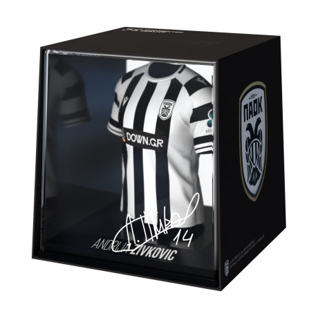Myjersey: Paok - Andrija Zivkovic (Home 25/26) (53my00011)