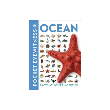 Ocean
