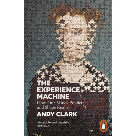 Experience Machine