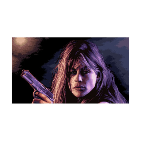 Nsw Terminator 2d: no Fate