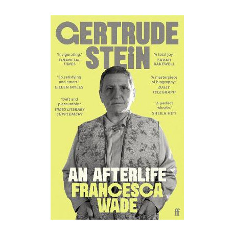 Gertrude Stein:an Afterlife pb