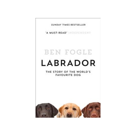 Labrador