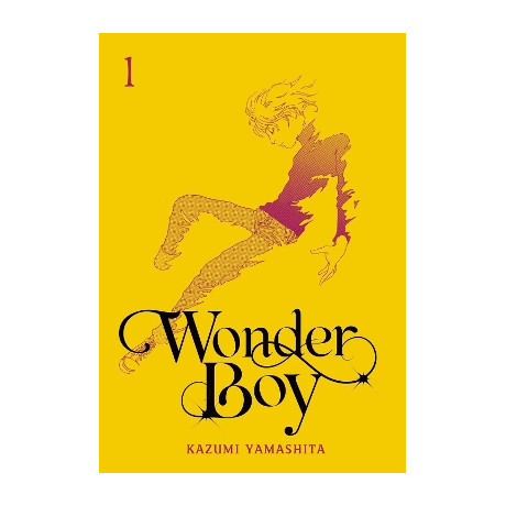 Wonder Boy, Vol. 1 hc