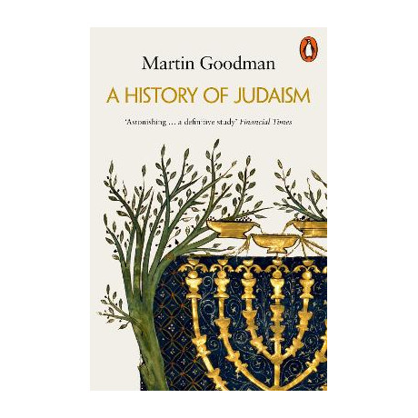 Penguin Orange Spines : a History of Judaism pb