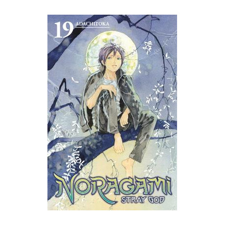 Noragami Stray god gn vol 19 (c: 1-1-0)