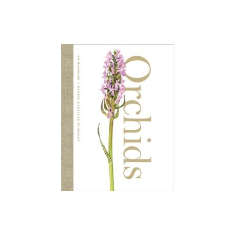 Orchids