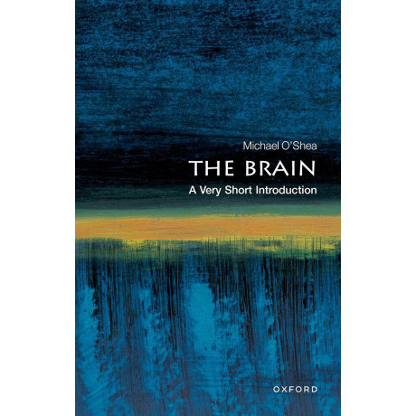 The Brain: a Very Short Introduction