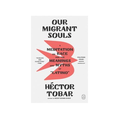 Our Migrant Souls : a Meditation on Race and the Meanings and Myths of "latino"