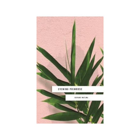 Evening Primrose: a Heart-Wrenching Novel for our Times