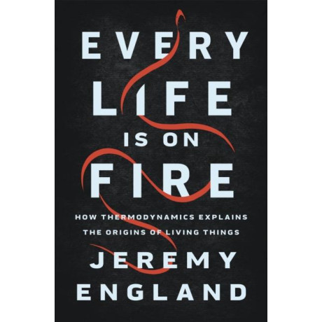 Every Life is on Fire
