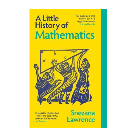A Little History of Mathematics pb