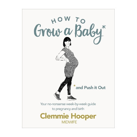 How to Grow a Baby and Push it Out: a Guide to Pregnancy and Birth Straight From the Midwifes Mouth  pb