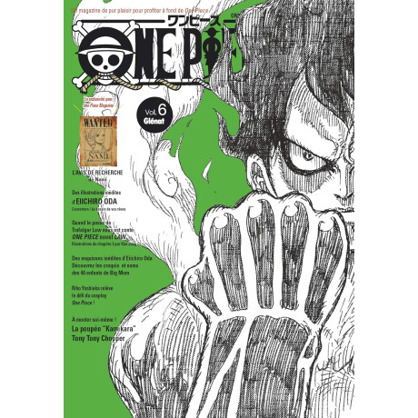 One Piece Magazine - Tome 06 - French Edition