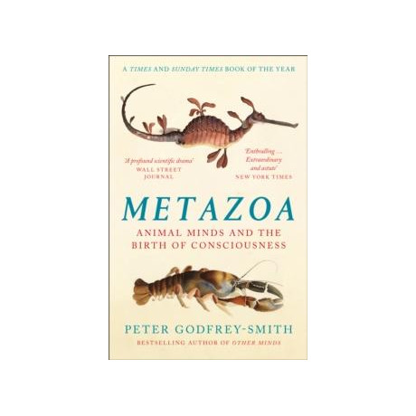 Metazoa