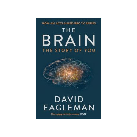 Brain