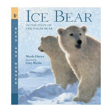 Ice Bear: Read and Wonder: in the Steps of the Polar Bear