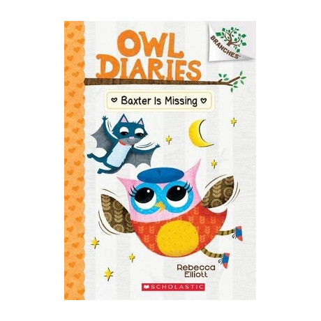 Baxter is Missing (Branches: owl Diaries, Book 6)